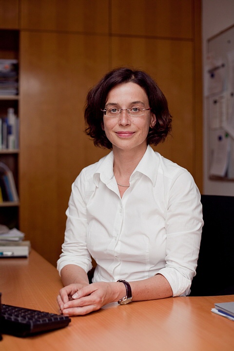 Prof. Dr. Cornelia Koppetsch